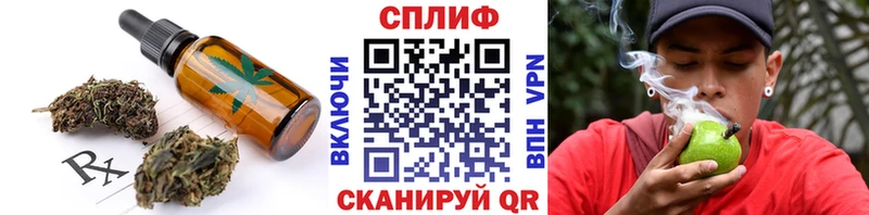 купить наркотик  Курчатов  KRAKEN маркетплейс  Cannafood конопля 