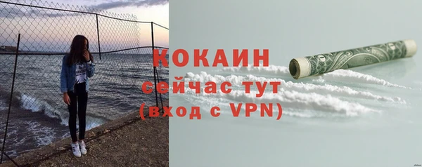 ГАЛЛЮЦИНОГЕННЫЕ ГРИБЫ Горно-Алтайск