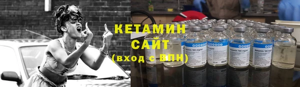 прущие грибы Горнозаводск