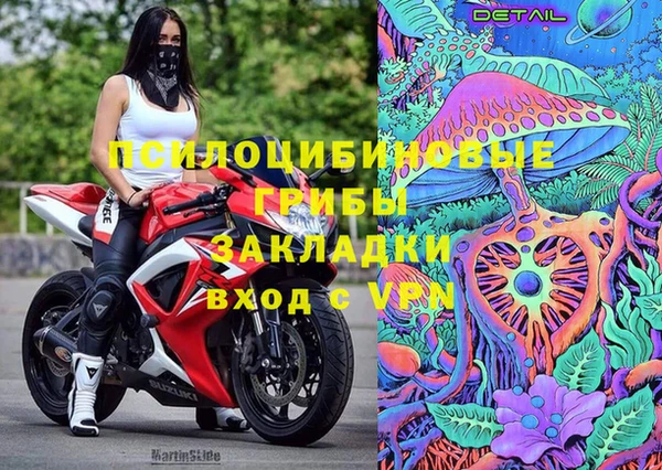 ГАЛЛЮЦИНОГЕННЫЕ ГРИБЫ Горно-Алтайск