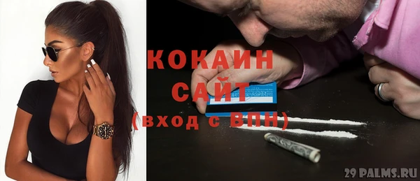 ГАЛЛЮЦИНОГЕННЫЕ ГРИБЫ Горно-Алтайск