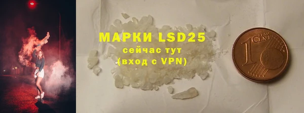 прущие грибы Горнозаводск
