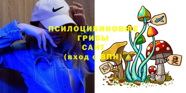 ГАЛЛЮЦИНОГЕННЫЕ ГРИБЫ Горно-Алтайск