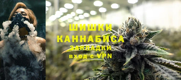 ГАЛЛЮЦИНОГЕННЫЕ ГРИБЫ Горно-Алтайск