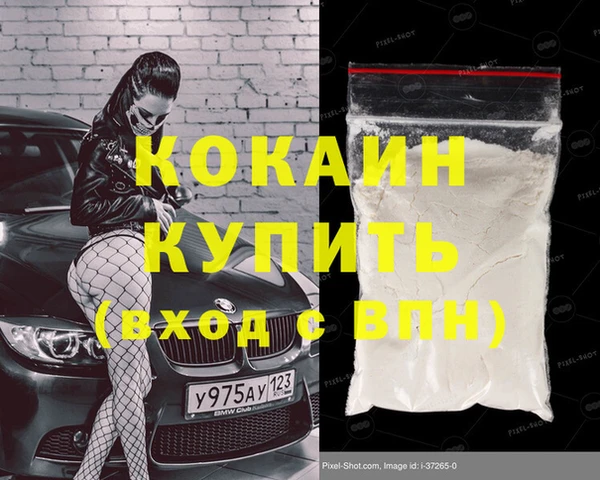 прущие грибы Горнозаводск