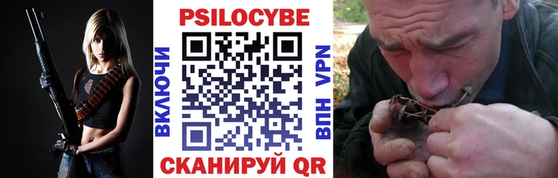 сколько стоит  Курчатов  Псилоцибиновые грибы GOLDEN TEACHER 